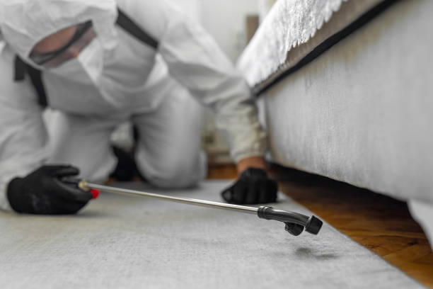 Professional Cockroach Control technician working in Pompton Plains, NJ