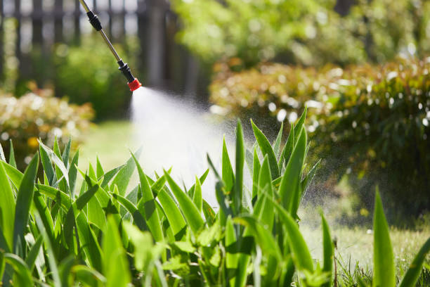 24/7 Emergency Cockroach Control experts in Pompton Plains, NJ